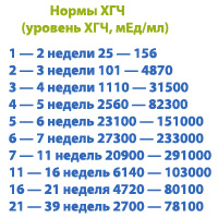 Таблица показателей хгч по срокам беременности