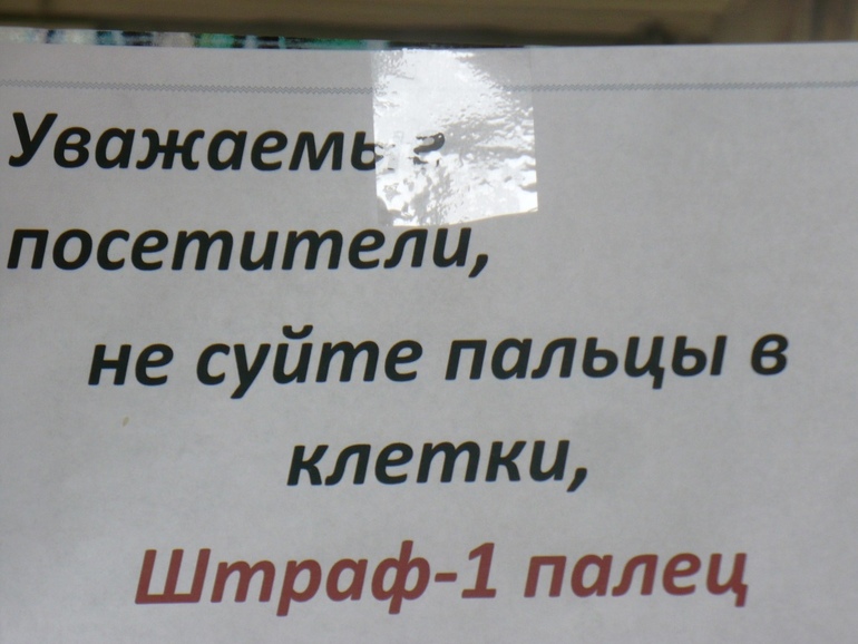 Выставка экзотических птиц