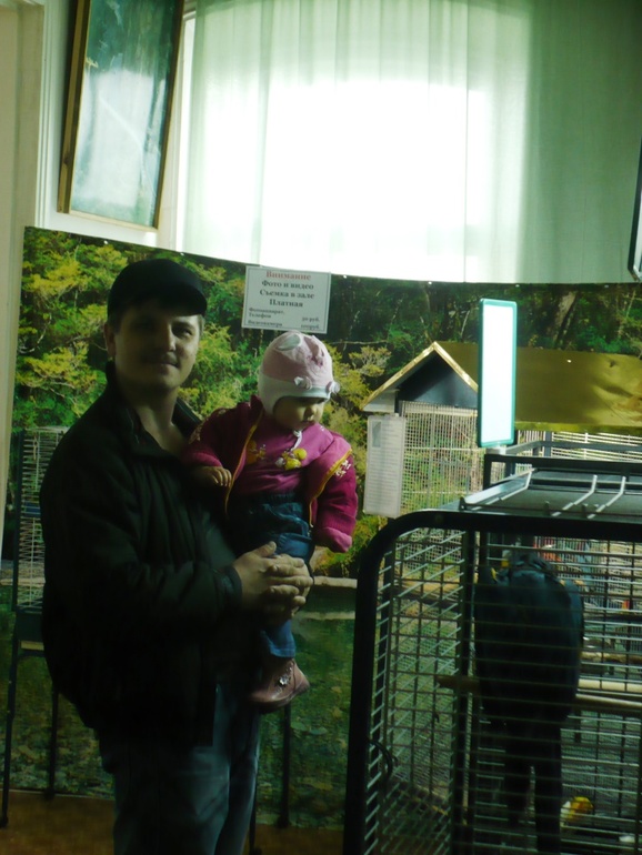 Выставка экзотических птиц