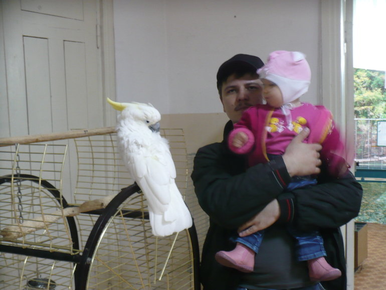 Выставка экзотических птиц