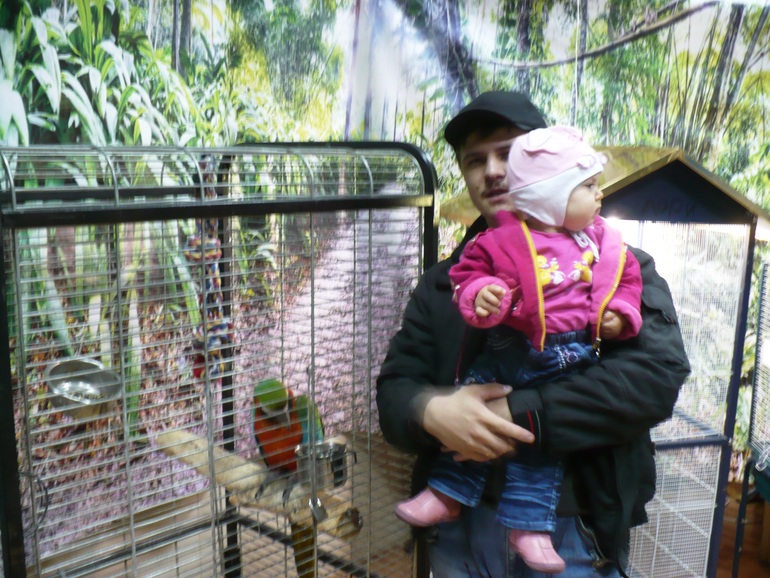 Выставка экзотических птиц