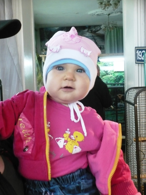 Выставка экзотических птиц