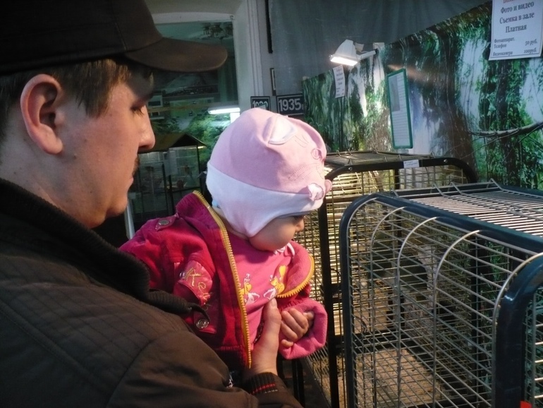 Выставка экзотических птиц