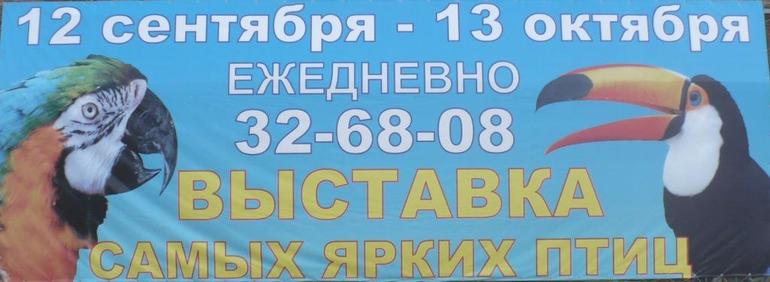 Выставка экзотических птиц