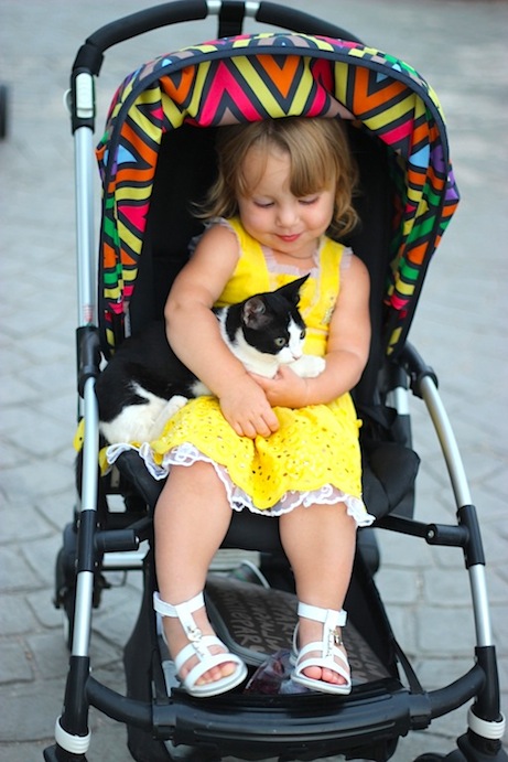 65d5d2dfe6c0e314f1b8217106bebda0.jpg