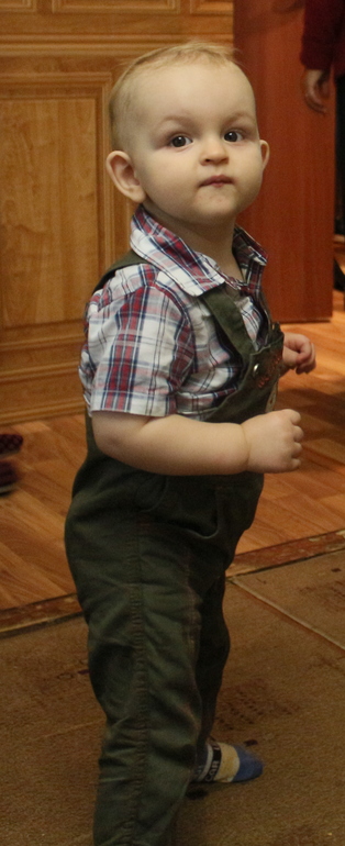 наш годовалый медвежонок)))