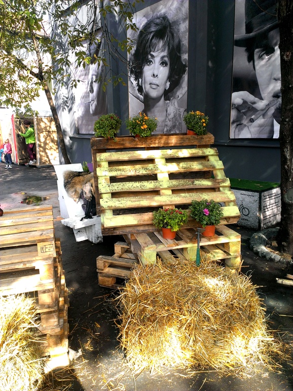 Как мы провели день города...