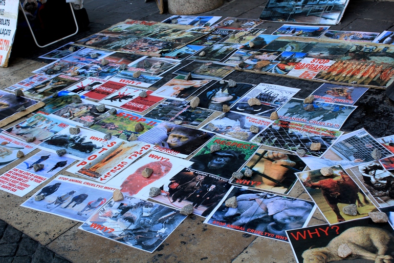 Летний европейский трип 2013 .Часть 2. Барселона