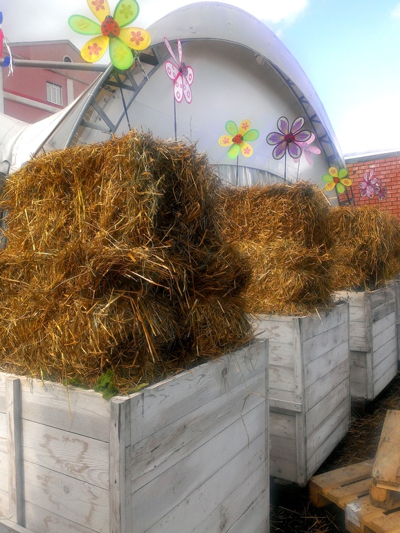 Как мы провели день города...