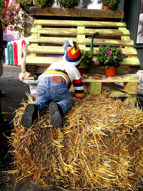 Как мы провели день города...