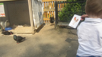 Занятие с детьми по теме «Животные»