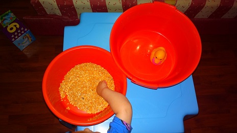 Занятие с детьми по теме «Животные»