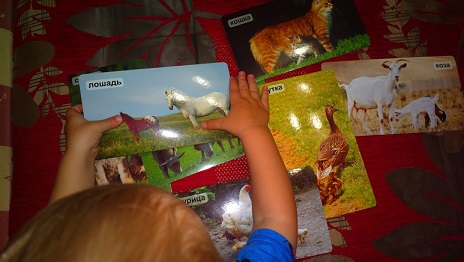 Занятие с детьми по теме «Животные»