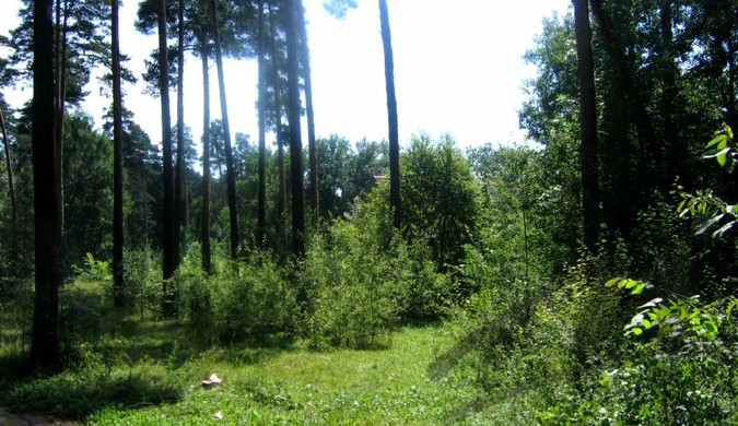 Продажа участков в Зеленогорске В городе Зеленогорске компания