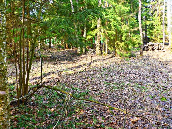 Продажа участков в Зеленогорске В городе Зеленогорске компания