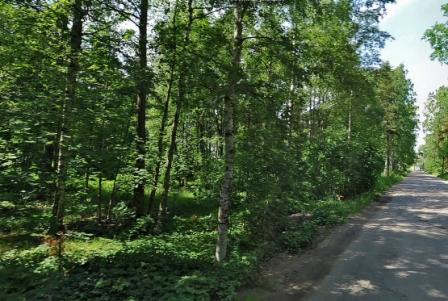 Курортный район, город Сестрорецк, ул. Ново-Гагаринская, д.3 Участок 17.5 соток Цена 17 млн.рублей, Торг