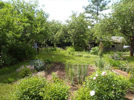 Город Сестрорецк, Садоводство Разлив Площадь участка 4 сотки Цена 2200 тыс.руб.