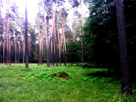 Продажа участков в Зеленогорске В городе Зеленогорске компания