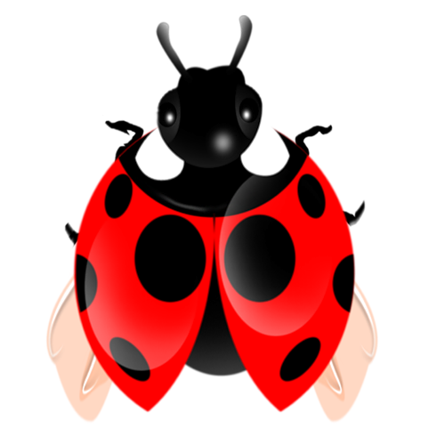 f068adef324747d69ee806aafd941ed2.png