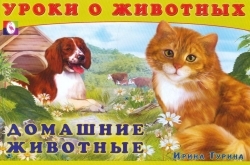95ad816fd7e182271e12383e637e7b51.jpg