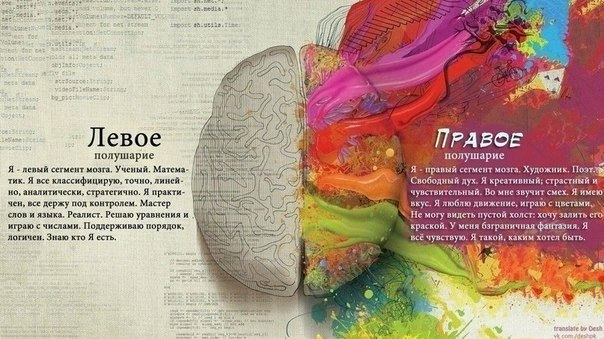 ПРАВОЕ И ЛЕВОЕ ПОЛУШАРИЕ