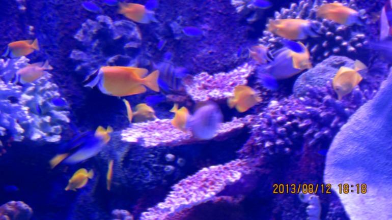4d73be6cabf31d66a15034562d1e0b9b.jpg