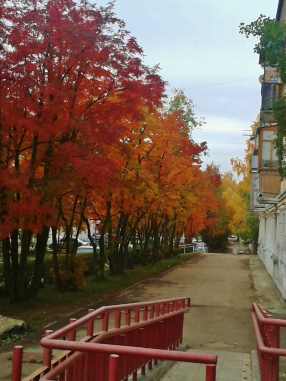 Бабье лето.