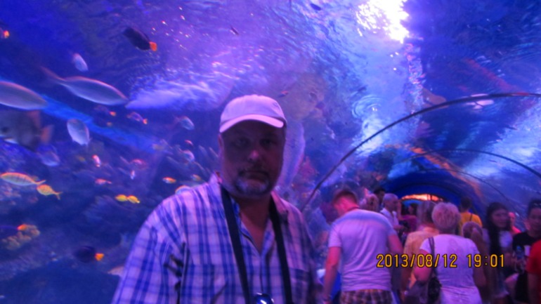 a04d87219d1ba4a697c54e6cc3c884db.jpg