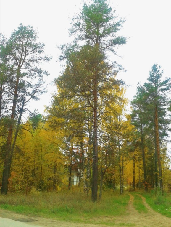 Бабье лето.