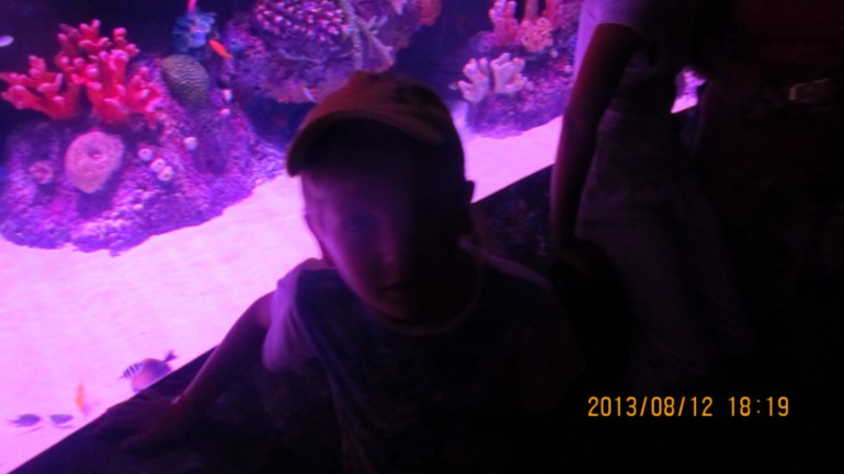ec02f1c9d2c070d6fd23329b8559c2ce.jpg