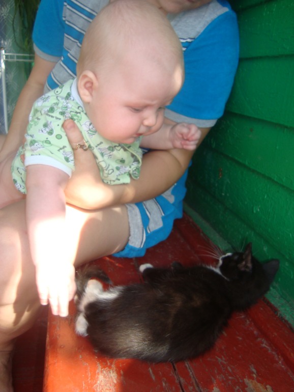 Фото на сентябрь