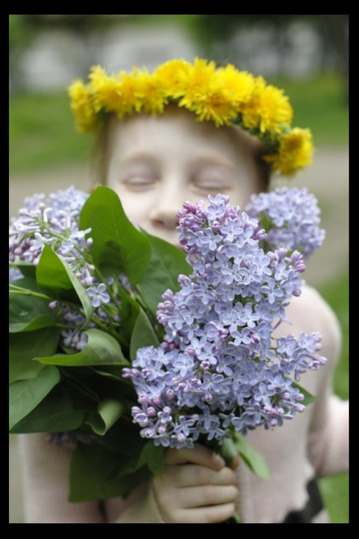 879aecab8d2bcbb99065515245f51684.png