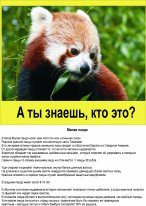 Познавательный плакат для жетей.