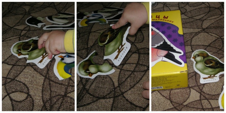 09ed7b415cf9c915350003c40f5139ad.jpg