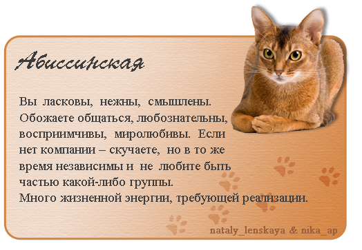 61f6f29f44655ed05f25bbcfcce272fa.png