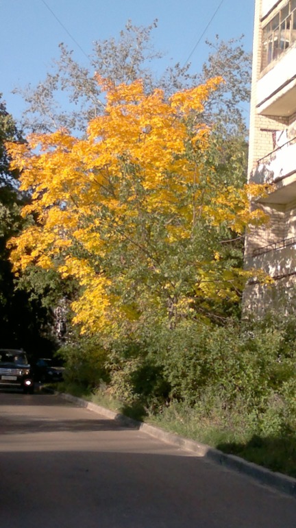 В ЧЕМ МЫ БАБЫ СОГРЕШИЛИ??? или ГДЕ БАБЬЕ ЛЕТО???