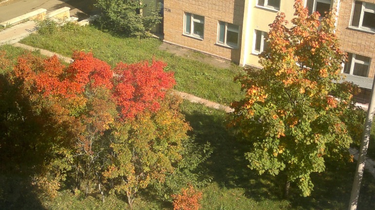 В ЧЕМ МЫ БАБЫ СОГРЕШИЛИ??? или ГДЕ БАБЬЕ ЛЕТО???