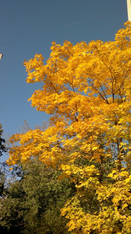 В ЧЕМ МЫ БАБЫ СОГРЕШИЛИ??? или ГДЕ БАБЬЕ ЛЕТО???