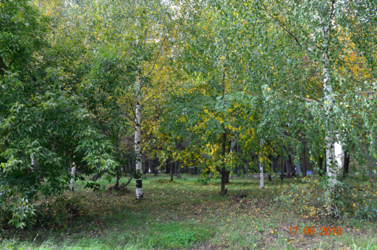 осень, осень...