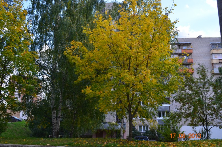 осень, осень...