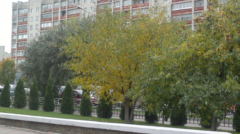 осень, осень...