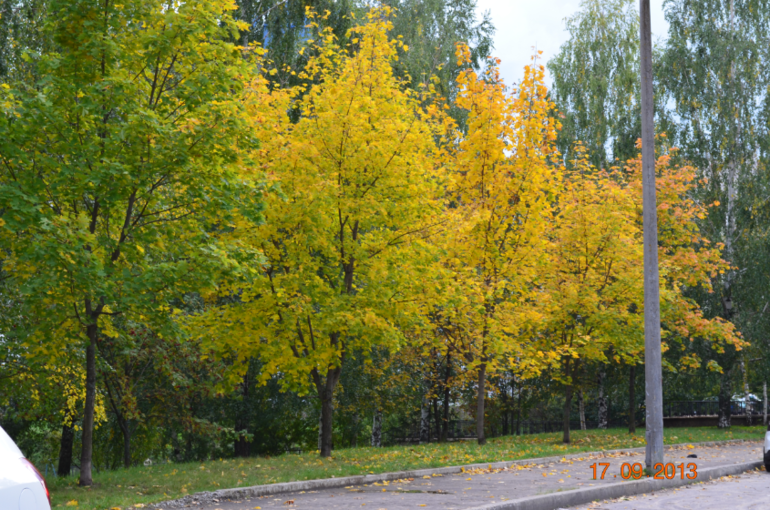 осень, осень...