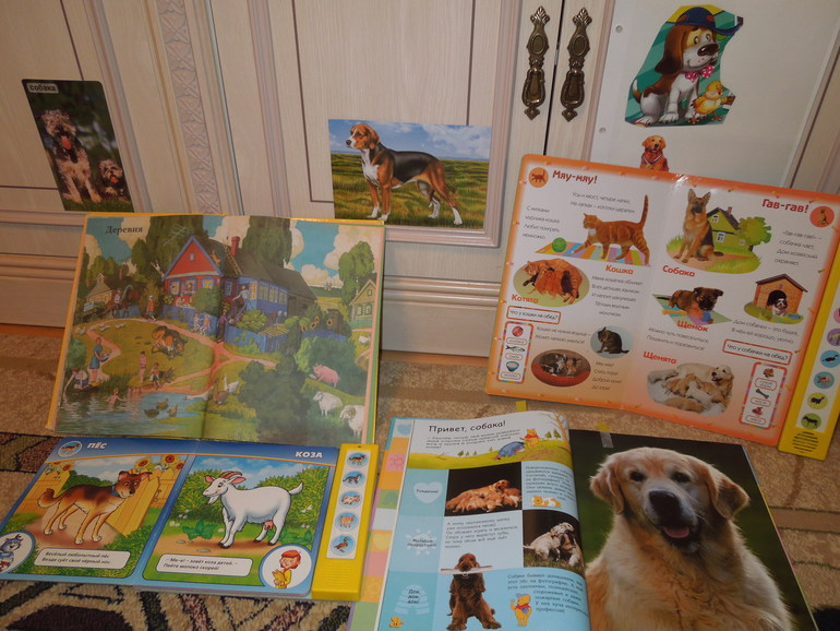 Тематический вечер "Собака"