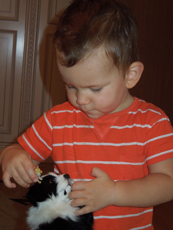 Тематический вечер "Собака"