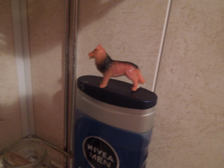 Тематический вечер "Собака"