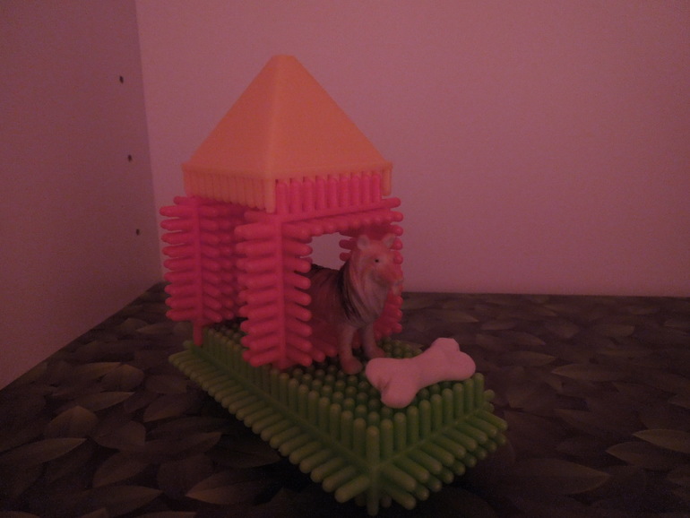 Тематический вечер "Собака"