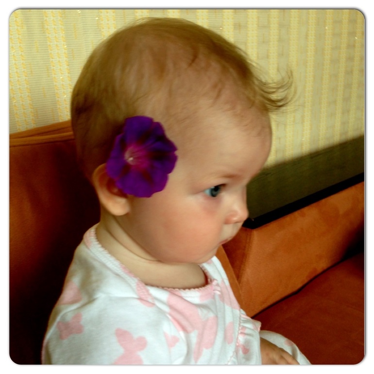10d386d15db3dcda578674148216bd69.jpg