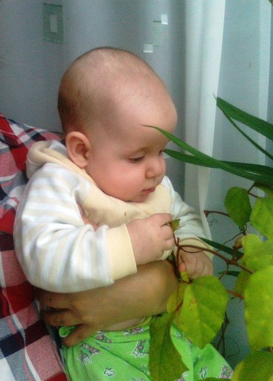 просто фоточки