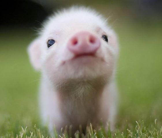 Пятница 13-е)))