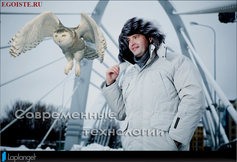 Мужские куртки Laplanger купить в Москве интернет-магазин